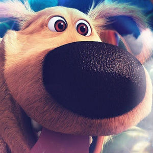 Meet your Posher, Sylvia